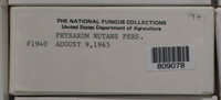 Physarum nutans image